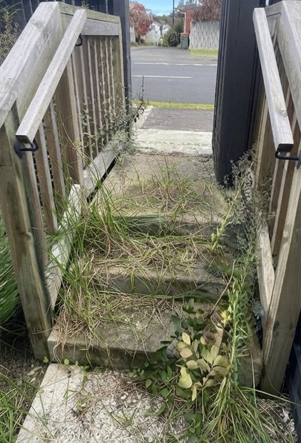 Overgrown garden path before clearing