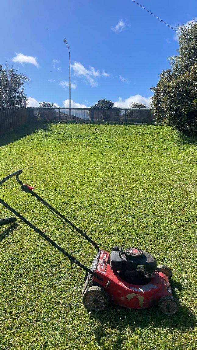 Lawn mowed by Sweepo at a rental property in Flat Bush
