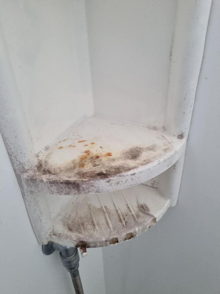 Shower shelf before