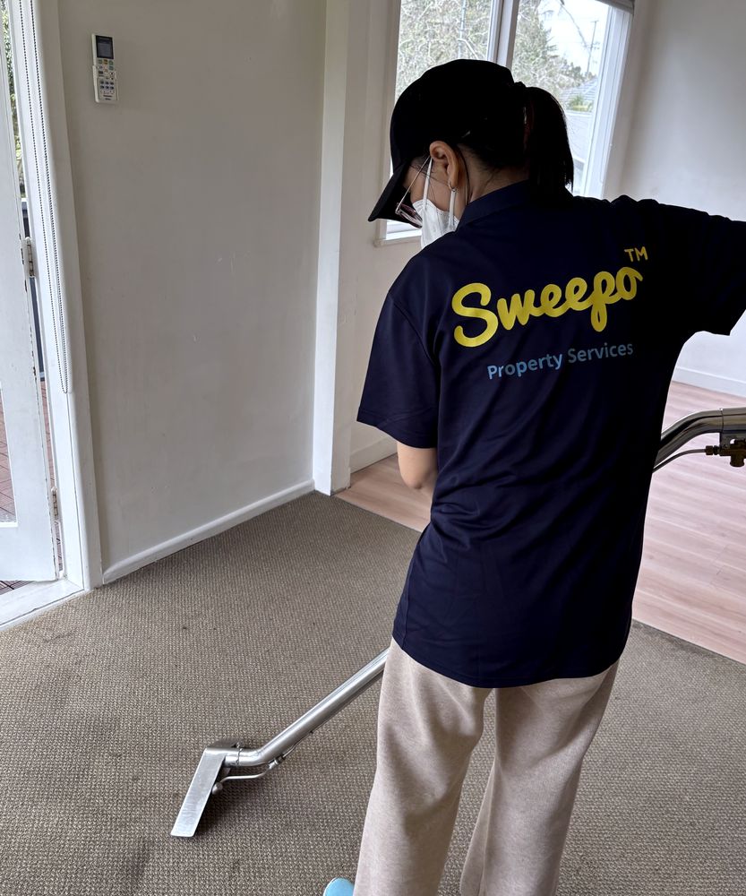 Carpet extraction during an end-of-tenancy clean