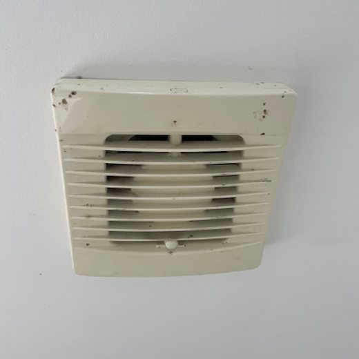 Extractor fan before