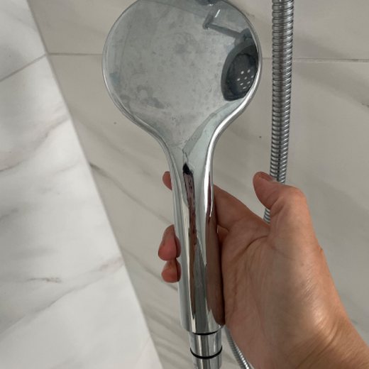 Shower head before