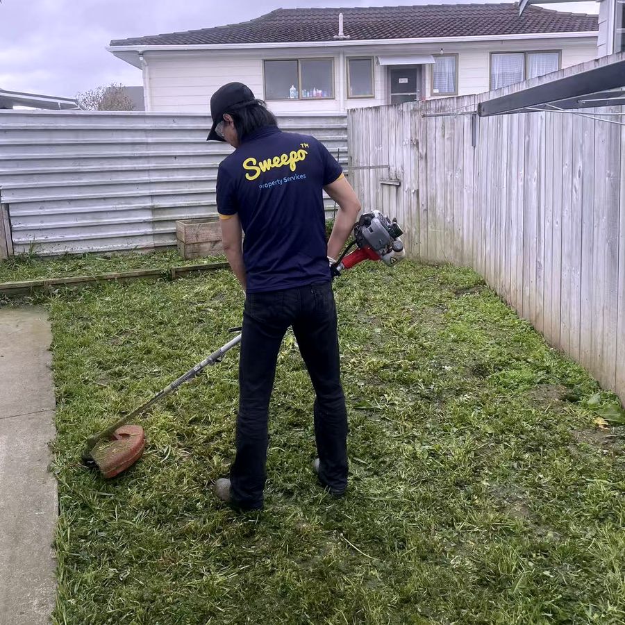 Sweepo team member trimming a back lawn