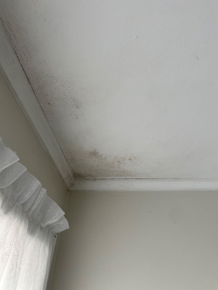 Bedroom ceiling before